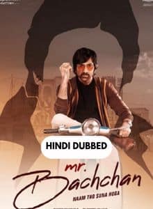 Mr. Bachchan Hindi Dubbed Full Movie 2024