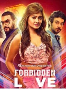 Love Forbidden Love (2024) Hindi Full Movie